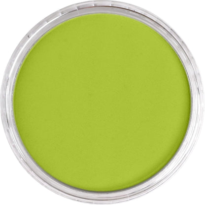 PanPastel Artist Pastels by GOLDEN, Bright Yellow Green, 2.44??� / 62mm Pan Diameter, Professional Artist Pastels, Unique Pan Format (cake-like)