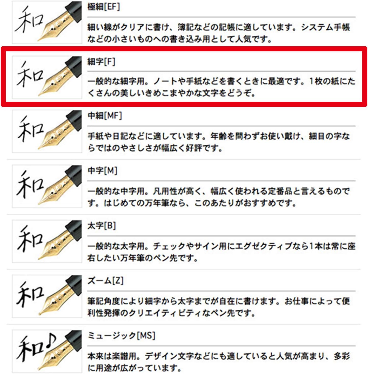 Sailor Fountain Pen Profit 21 Marun Fine Point 11-2021-232 side view