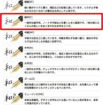 Sailor Fountain Pen Profit 21 Marun Fine Point 11-2021-232 side view