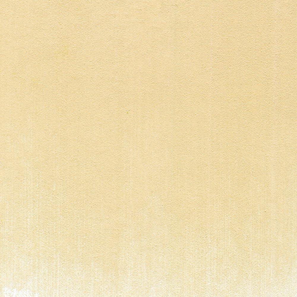 PanPastel Artist Pastels by GOLDEN, Burnt Sienna Tint, 2.44??� / 62mm Pan Diameter, Professional Artist Pastels, Unique Pan Format (cake-like)