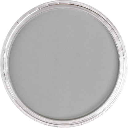 PanPastel Artist Pastels by GOLDEN, Neutral Gray Light, 2.44??� / 62mm Pan Diameter, Professional Artist Pastels, Unique Pan Format (cake-like)