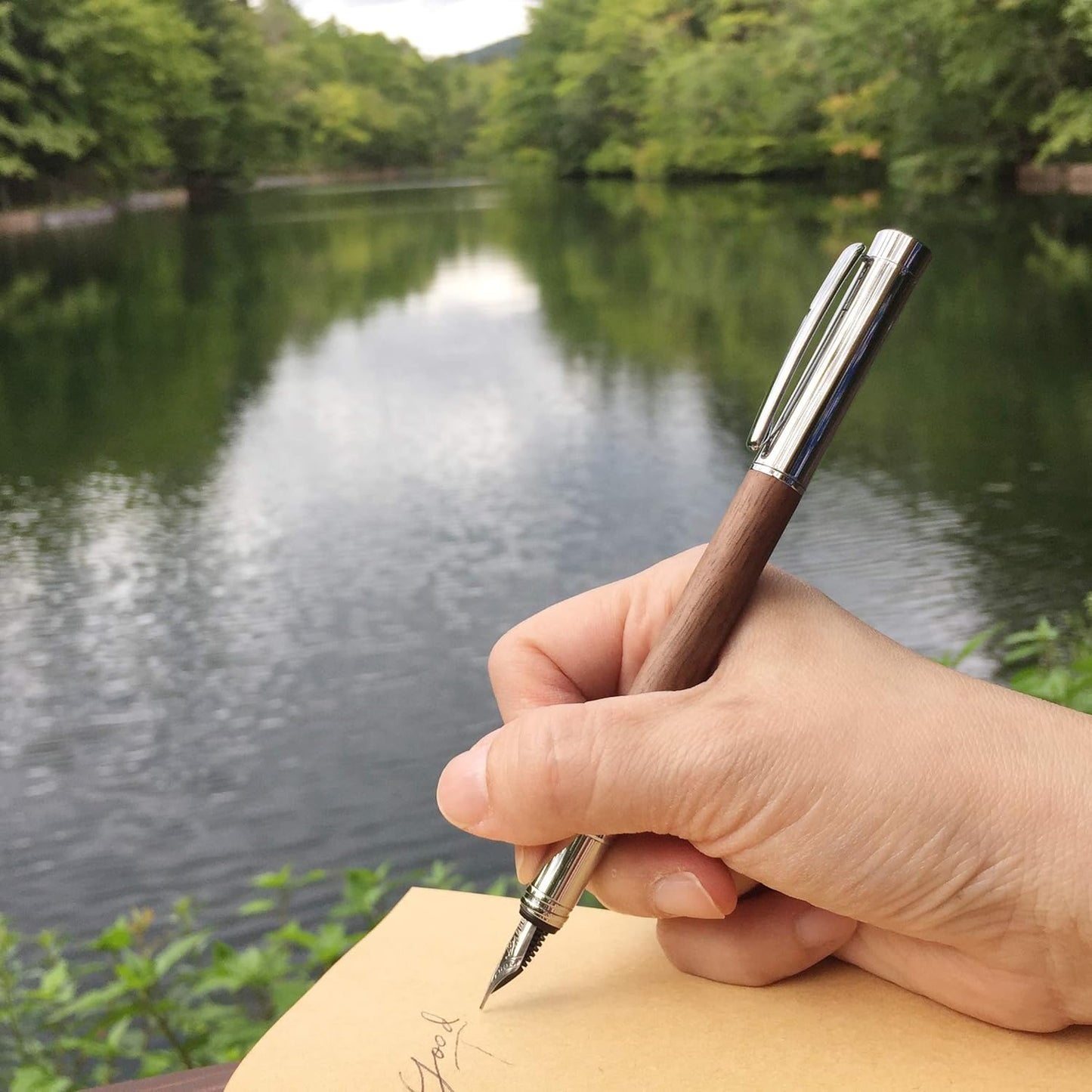 LACHIEVA Luxury Walnut Fountain Pen, Nice Pen with German-made Fine Nib, Converter, Cartridges. Nice Wood Pen Set for Men & Women. Best and Professional, Executive, Office Gift (Walnut).