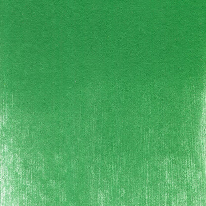 PanPastel Artist Pastels by GOLDEN, Permanent Green, 2.44??� / 62mm Pan Diameter, Professional Artist Pastels, Unique Pan Format (cake-like)
