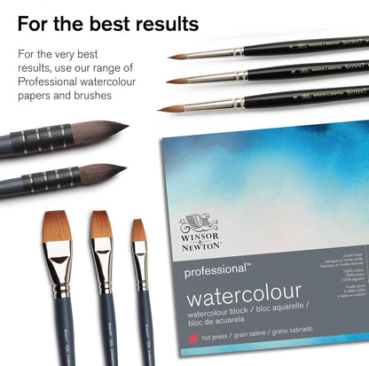 Winsor & Newton Professional Watercolor Paint Set, Black Box Set, 12 Half Pan