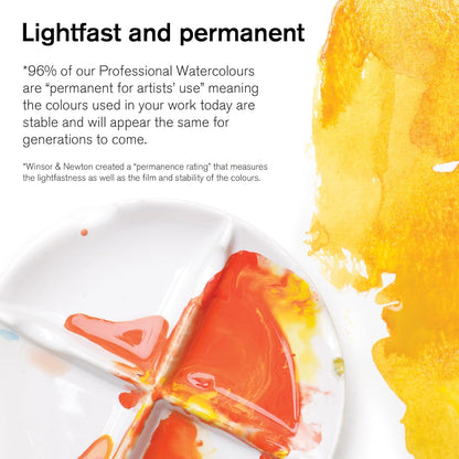 Winsor & Newton Professional Watercolor Paint Set, Black Box Set, 12 Half Pan