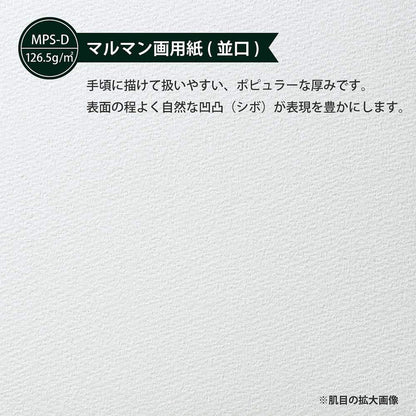 Maruman ZUAN Sketchbook 4.8 x 6.85 Inches (B6), Unruled, 24 pages (S160)