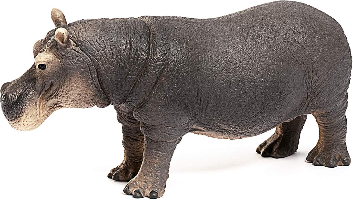 Schleich Wild Life Realistic Detailed Hippopotamus Figurine - Wild Hippo Figurine Toy for Play and Education, Highly Durable and Detailed, for Boys and Girls, Gift for Kids Ages 3+