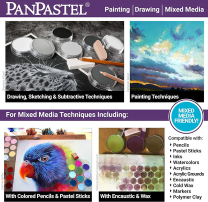 PanPastel 22501 Ultra Soft Artist Pastel, Diarylide Yellow Extra Dark, 250.1