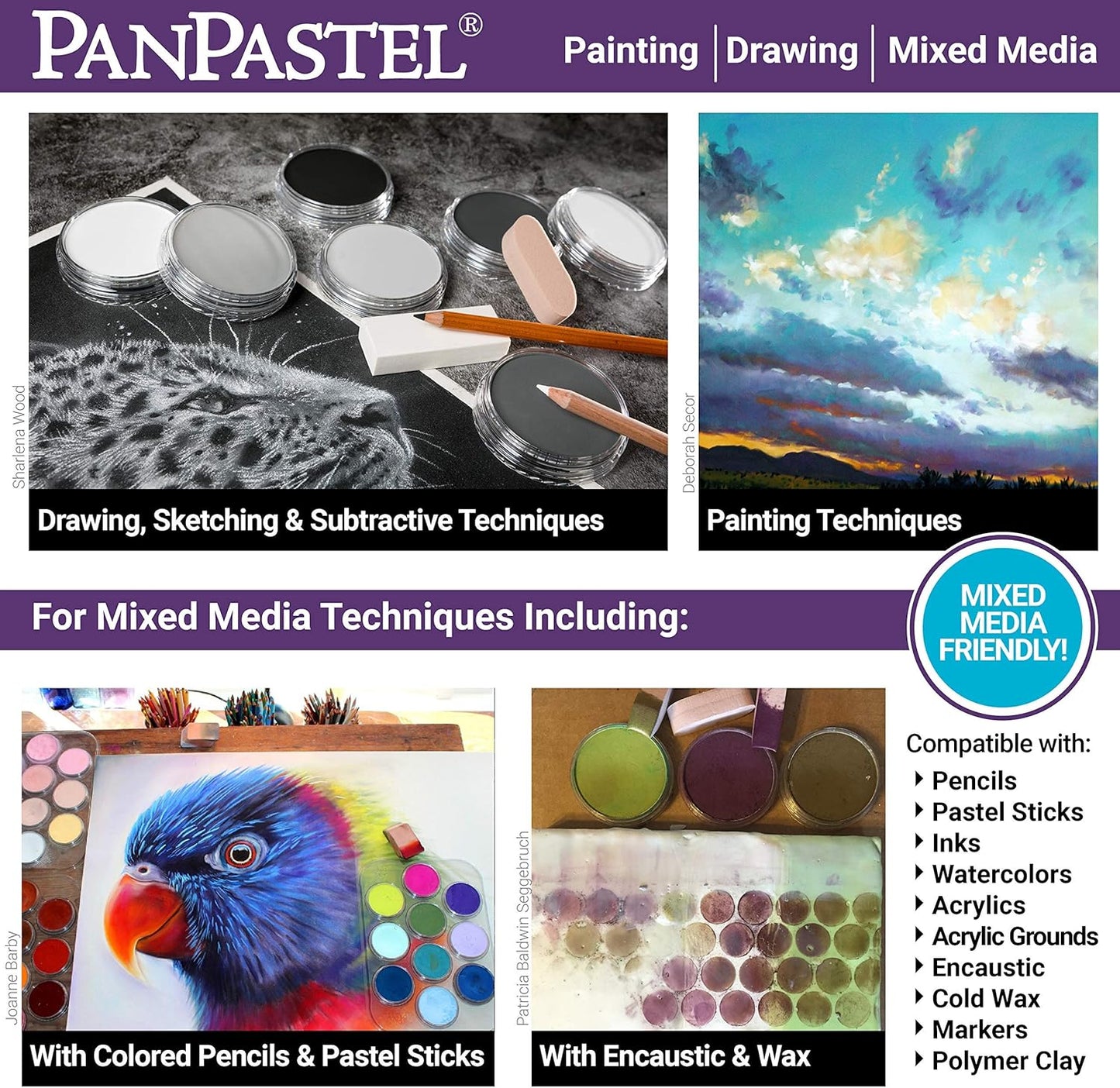 PanPastel Ultra Soft Artist Pastel, Chromium Oxide Green Extra Dark