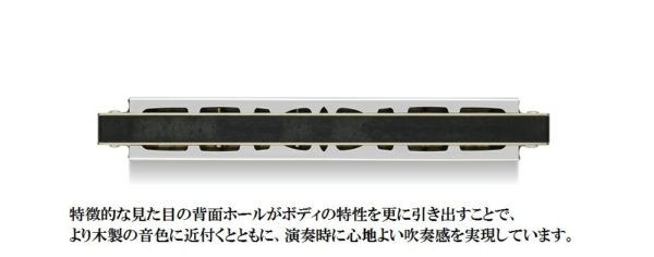 SUZUKI Suzuki 21 hole double sound harmonica Suzuki high class Haming SU - 21 W C tone - Image 7
