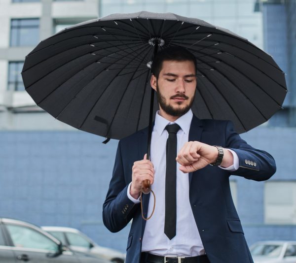Plemo Windproof Stick Umbrella, Wood Handle Waterproof Cloth with 24 Ribs, Durable for Optimal Resistance to Wind and Rain, Classic Black - Image 7