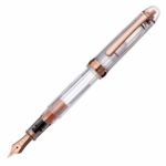 Platinum PNB-20000R#5-2 fountain pen # 3776 Century Nice fine print (F)