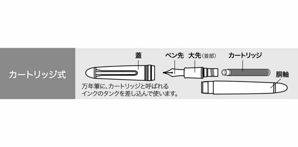 Sailor fountain pen fountain pen profit Junior skeleton 11-9924-300 - Image 2