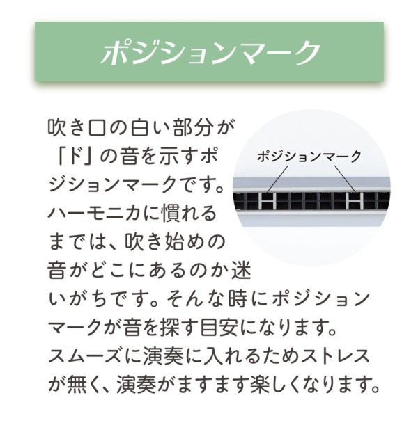 SUZUKI Suzuki 13 hole double sound Harmonica Hamming mate C style SU-13M - Image 5