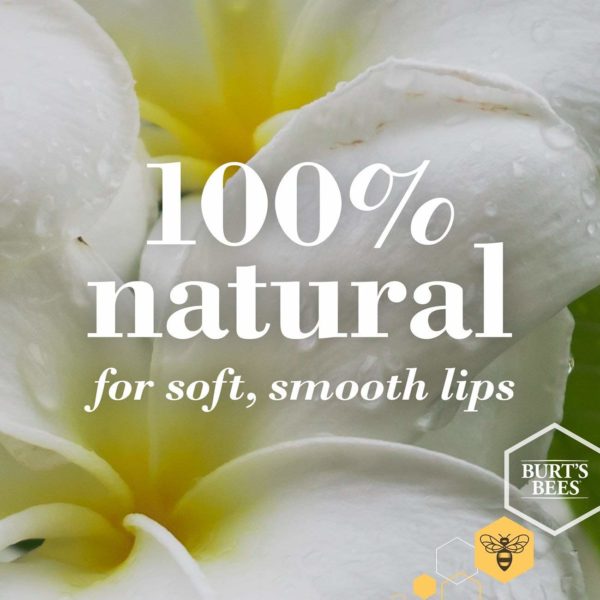 [Overseas items] Burt's Bees Refreshing pink grapefruit lip balm 2PACK - Image 2