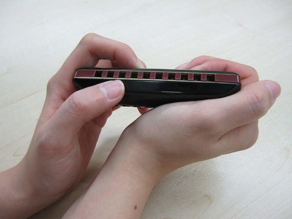 SUZUKI Suzuki 10 hole harmonica OVER DRIVE MR-300 C tone - Image 5