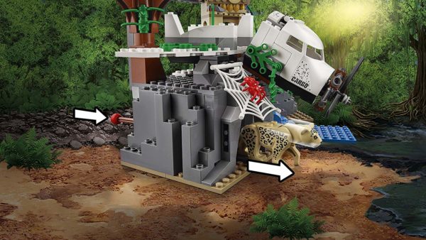 City Jungle - Jungle Exploration Site - Image 6