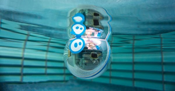 Sphero SPRK + Programming Robot / STEM / [Japanese Authorized Distributor] K001JPN - Image 2