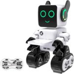 Pranite RC Robot RC Control Robot