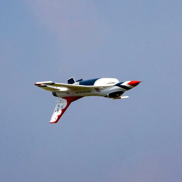 E-flite F-16 Falcon Thunderbird 80mm ARF Plus- EFL87970 Airplane ARF - Image 2